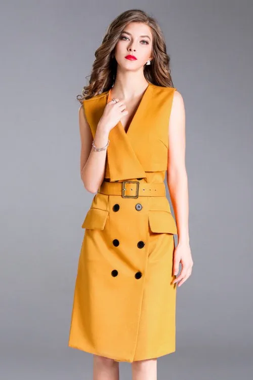 Styled Collar Double Breasted Dress